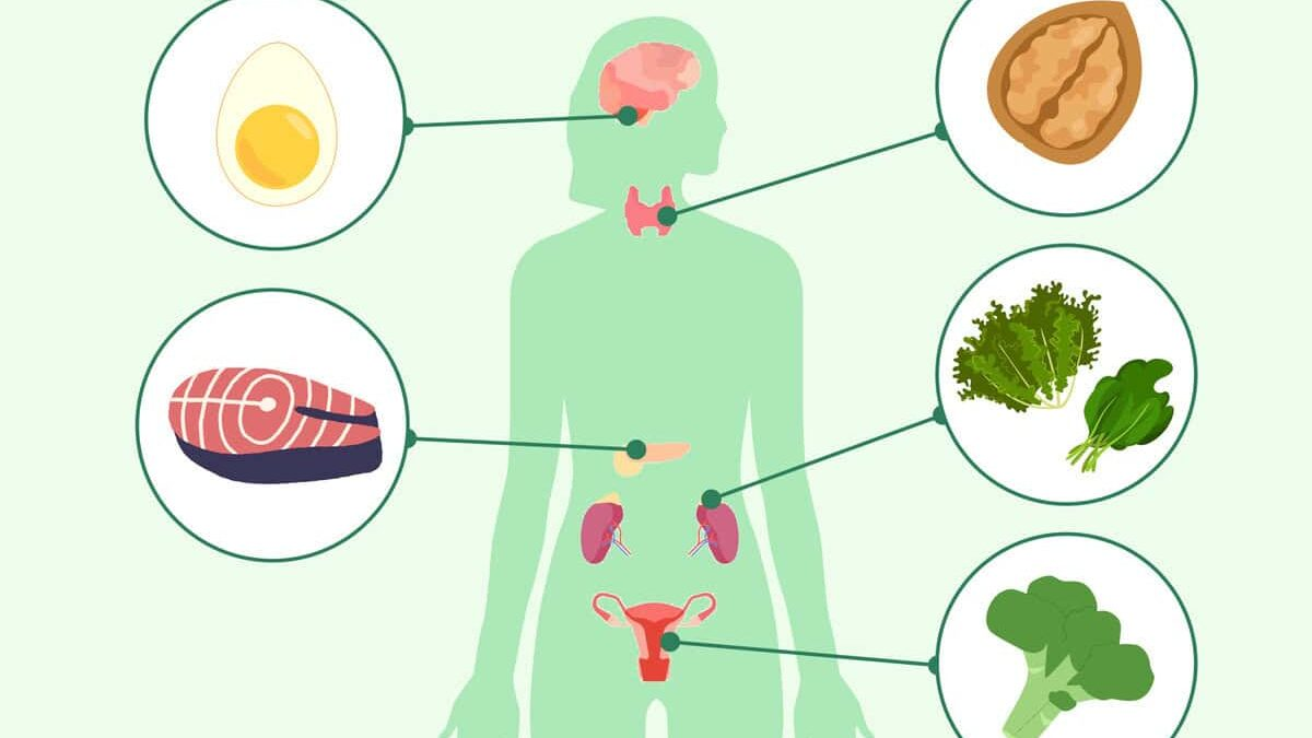 Hormonal Balance Support Program